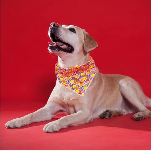 Dog Bandanas 2PC Set - Picture 6 of 8